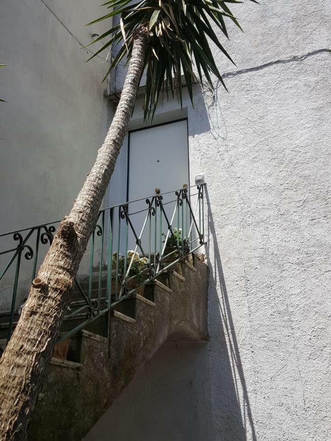 My Home Sorrento Eksteriør billede