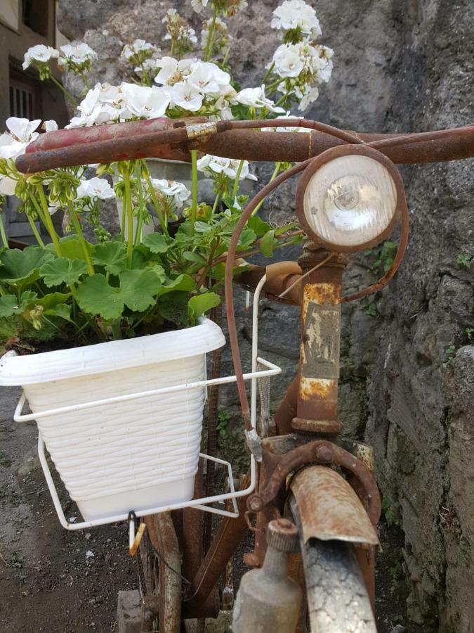 My Home Sorrento Eksteriør billede